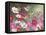 Cosmos and Hummingbirds-William Vanderdasson-Framed Premier Image Canvas