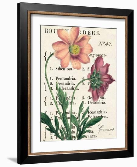 Cosmos Botany-Sue Schlabach-Framed Art Print