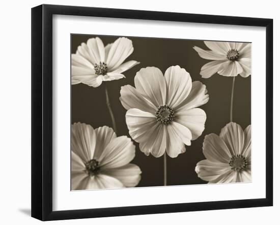 Cosmos Dance-Assaf Frank-Framed Giclee Print