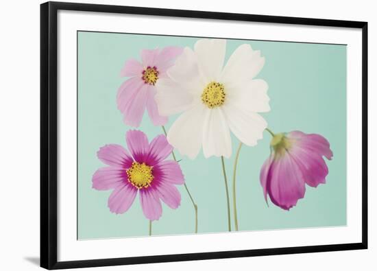 Cosmos Drift-Irene Suchocki-Framed Giclee Print