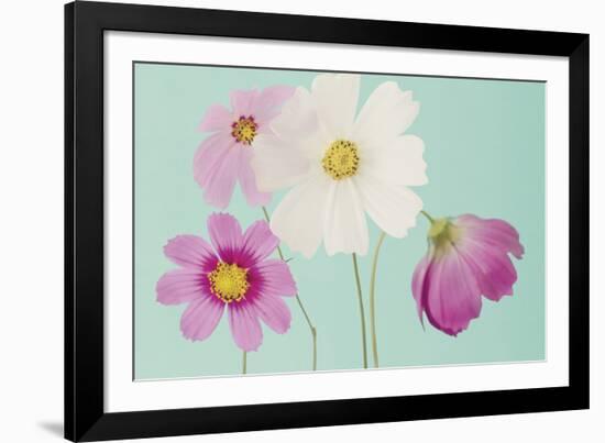 Cosmos Drift-Irene Suchocki-Framed Giclee Print