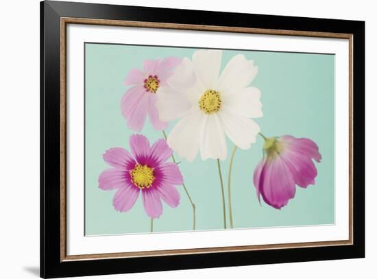 Cosmos Drift-Irene Suchocki-Framed Giclee Print