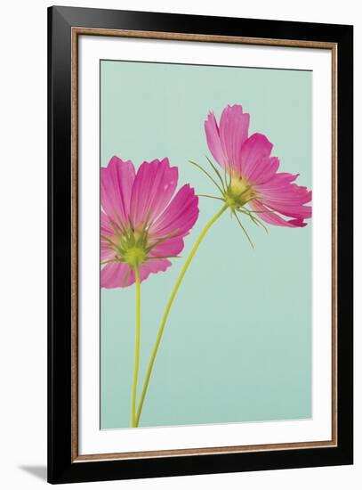 Cosmos Duo-Irene Suchocki-Framed Giclee Print