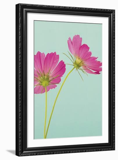 Cosmos Duo-Irene Suchocki-Framed Giclee Print