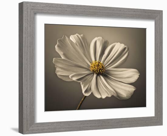 Cosmos Echo-Assaf Frank-Framed Giclee Print