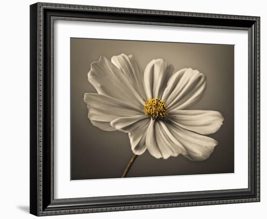 Cosmos Echo-Assaf Frank-Framed Giclee Print