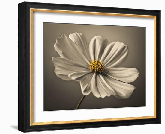 Cosmos Echo-Assaf Frank-Framed Giclee Print