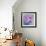 Cosmos et Marguerites-Genevieve Dolle-Framed Giclee Print displayed on a wall