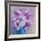 Cosmos et Marguerites-Genevieve Dolle-Framed Giclee Print