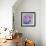 Cosmos et Marguerites-Genevieve Dolle-Framed Giclee Print displayed on a wall