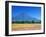 Cosmos Fields & Mt. Fuji, Oshino, Yamanashi, Japan-null-Framed Photographic Print