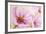 Cosmos-Flowers. Oil Painting-Valenty-Framed Art Print