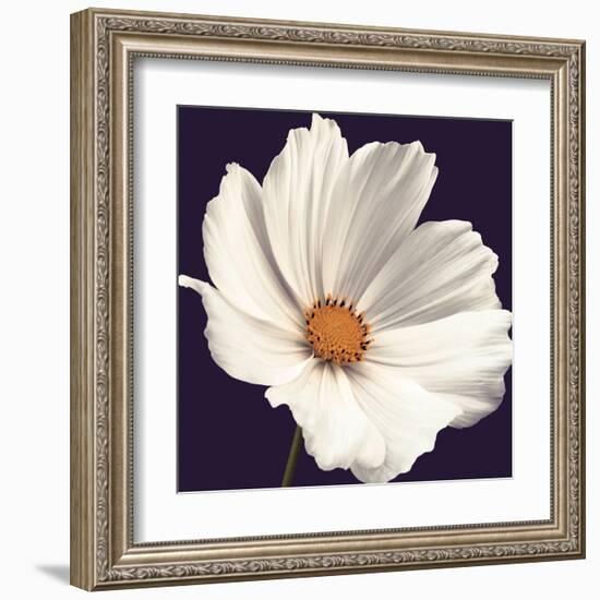 Cosmos I-Assaf Frank-Framed Art Print