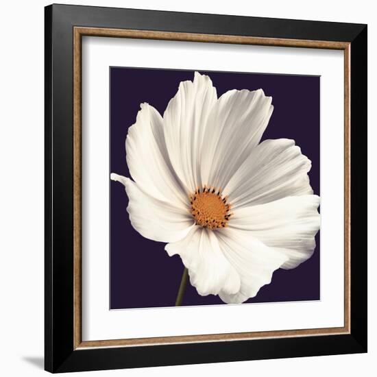 Cosmos I-Assaf Frank-Framed Art Print