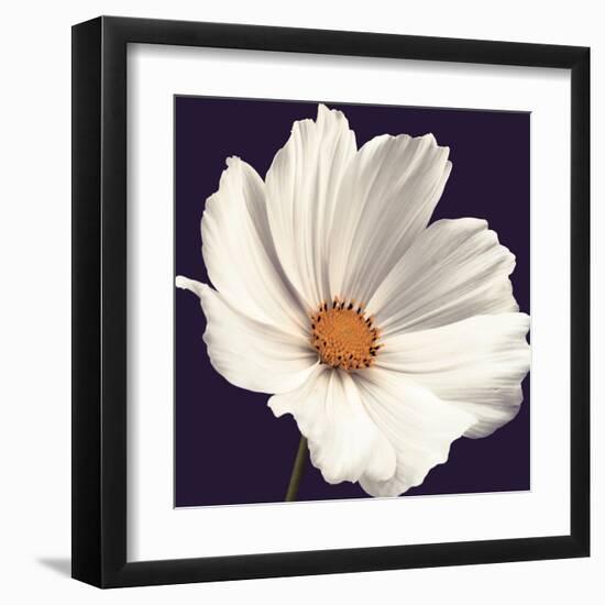 Cosmos I-Assaf Frank-Framed Art Print