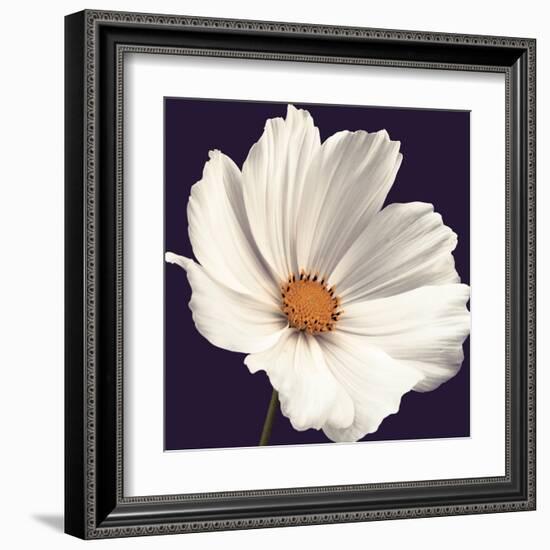 Cosmos I-Assaf Frank-Framed Art Print