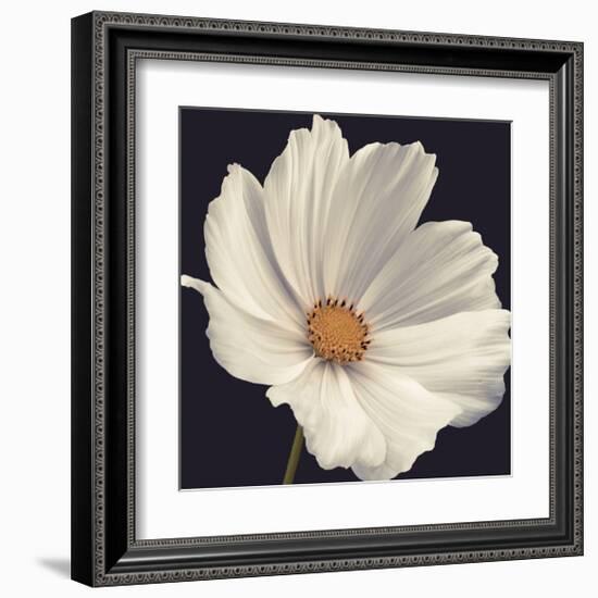 Cosmos I-Assaf Frank-Framed Giclee Print