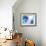 Cosmos I-Jessica Torrant-Framed Art Print displayed on a wall