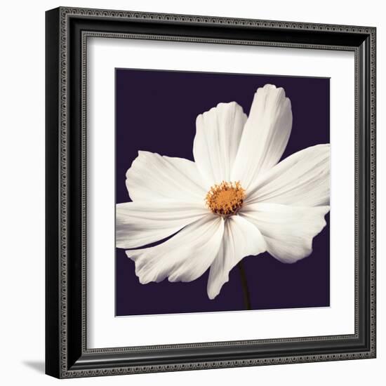 Cosmos II-Assaf Frank-Framed Art Print