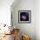 Cosmos Parade-Philippe Sainte-Laudy-Framed Photographic Print displayed on a wall