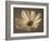 Cosmos Reflect-Assaf Frank-Framed Giclee Print