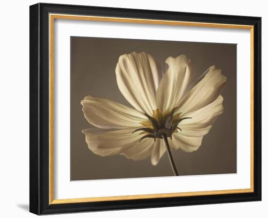 Cosmos Reflect-Assaf Frank-Framed Giclee Print