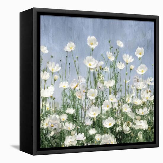 Cosmos Sky-Tania Bello-Framed Stretched Canvas