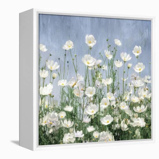 Cosmos Sky-Tania Bello-Framed Stretched Canvas