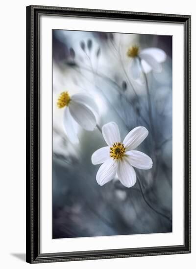 Cosmos-Mandy Disher-Framed Giclee Print