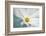 Cosmos-Heidi Westum-Framed Photographic Print