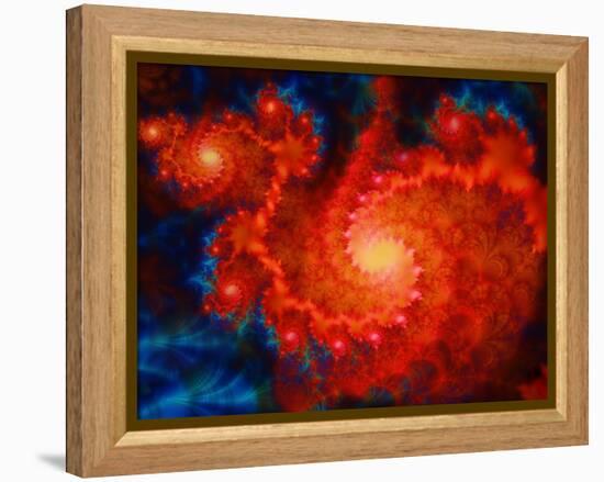 Cosmos-Tina Lavoie-Framed Premier Image Canvas