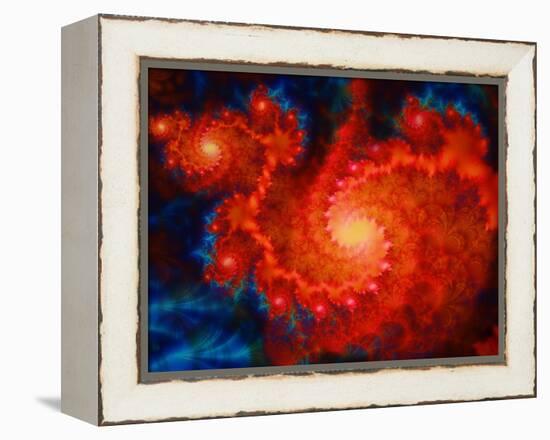 Cosmos-Tina Lavoie-Framed Premier Image Canvas