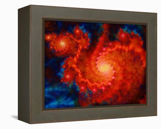 Cosmos-Tina Lavoie-Framed Premier Image Canvas