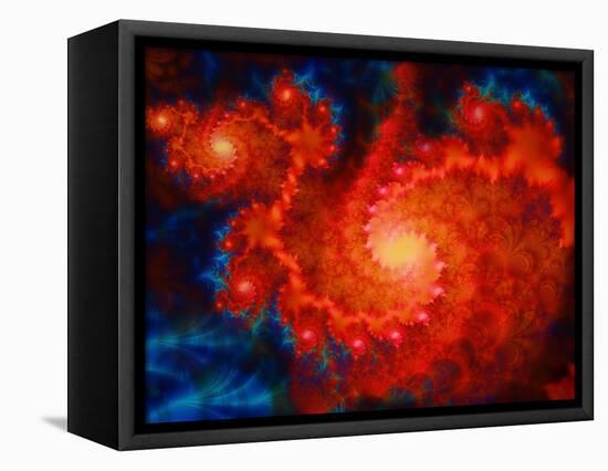 Cosmos-Tina Lavoie-Framed Premier Image Canvas