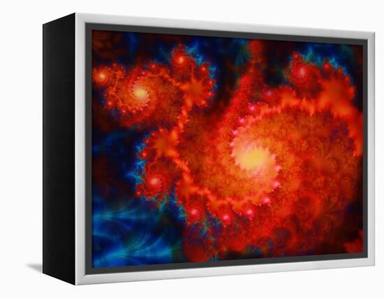 Cosmos-Tina Lavoie-Framed Premier Image Canvas