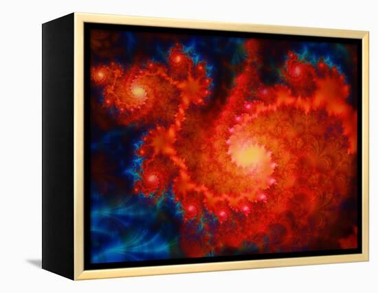 Cosmos-Tina Lavoie-Framed Premier Image Canvas