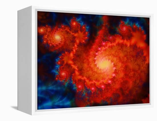 Cosmos-Tina Lavoie-Framed Premier Image Canvas