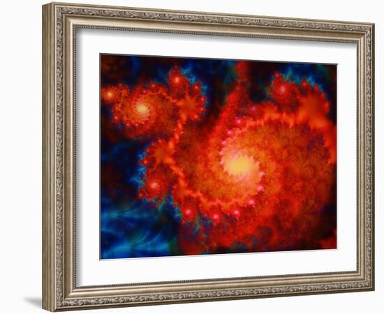 Cosmos-Tina Lavoie-Framed Giclee Print