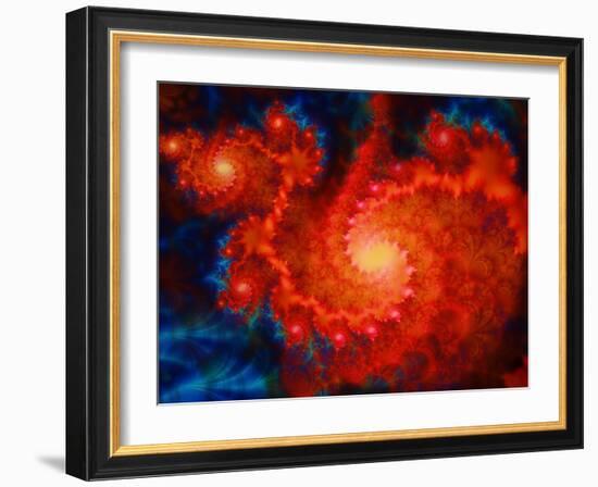 Cosmos-Tina Lavoie-Framed Giclee Print