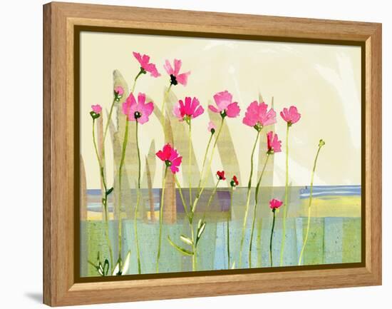 Cosmos-Robbin Rawlings-Framed Stretched Canvas