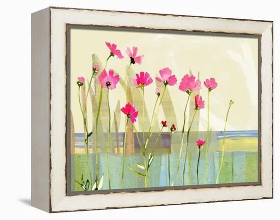 Cosmos-Robbin Rawlings-Framed Stretched Canvas