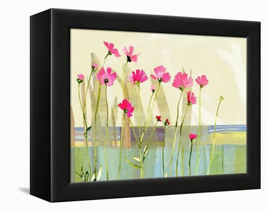 Cosmos-Robbin Rawlings-Framed Stretched Canvas