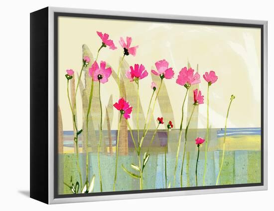 Cosmos-Robbin Rawlings-Framed Stretched Canvas