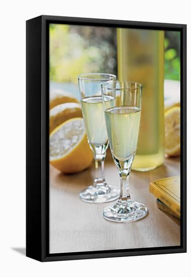 Costa D' Amalfi and Penisola Sorrentina Lemon Liquor-null-Framed Premier Image Canvas