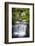Costa Rica, Alajuela, La Fortuna. Hot Springs at the Tabacon Grand Spa Thermal Resort-Nick Ledger-Framed Photographic Print