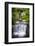 Costa Rica, Alajuela, La Fortuna. Hot Springs at the Tabacon Grand Spa Thermal Resort-Nick Ledger-Framed Photographic Print
