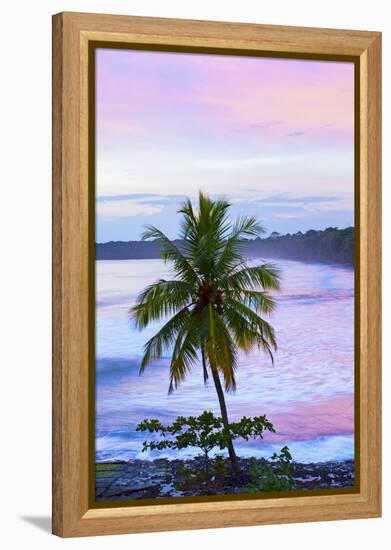 Costa Rica, Cahuita, Cahuita National Park, Lowland Tropical Rainforest, Caribbean Coast, Dawn-John Coletti-Framed Premier Image Canvas