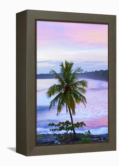 Costa Rica, Cahuita, Cahuita National Park, Lowland Tropical Rainforest, Caribbean Coast, Dawn-John Coletti-Framed Premier Image Canvas