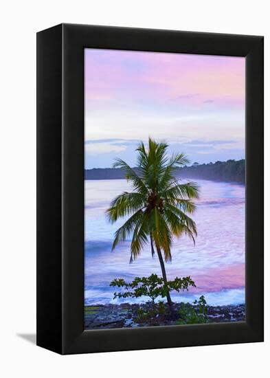 Costa Rica, Cahuita, Cahuita National Park, Lowland Tropical Rainforest, Caribbean Coast, Dawn-John Coletti-Framed Premier Image Canvas