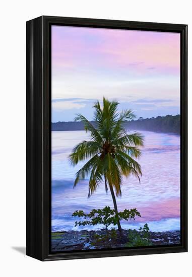 Costa Rica, Cahuita, Cahuita National Park, Lowland Tropical Rainforest, Caribbean Coast, Dawn-John Coletti-Framed Premier Image Canvas